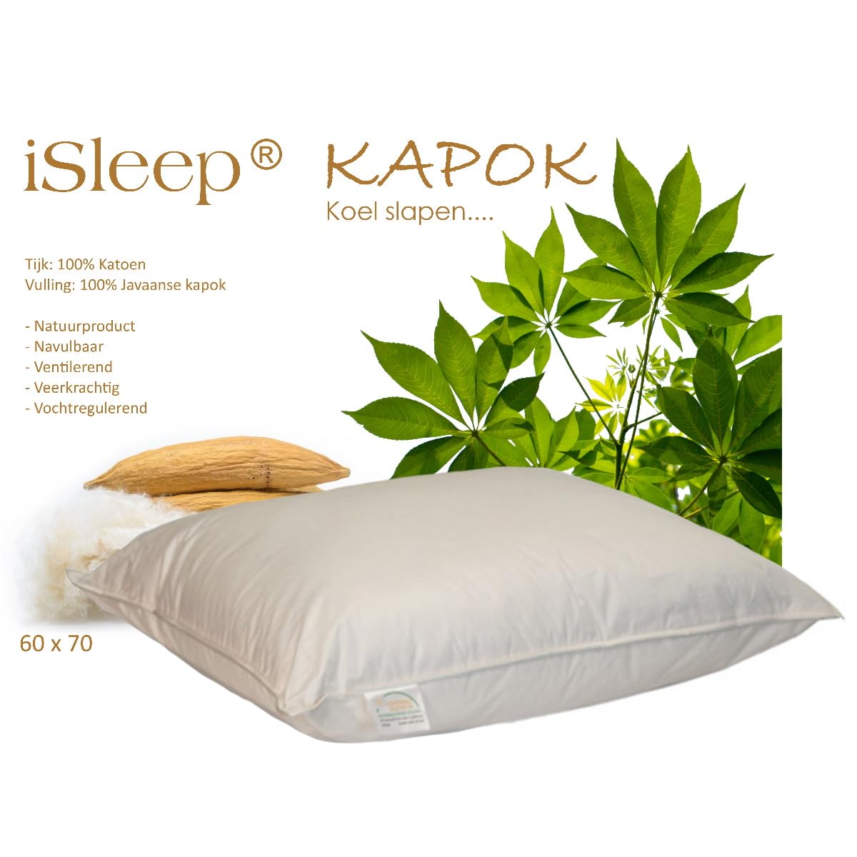 Isleep Kapok coussin 60x70 cm