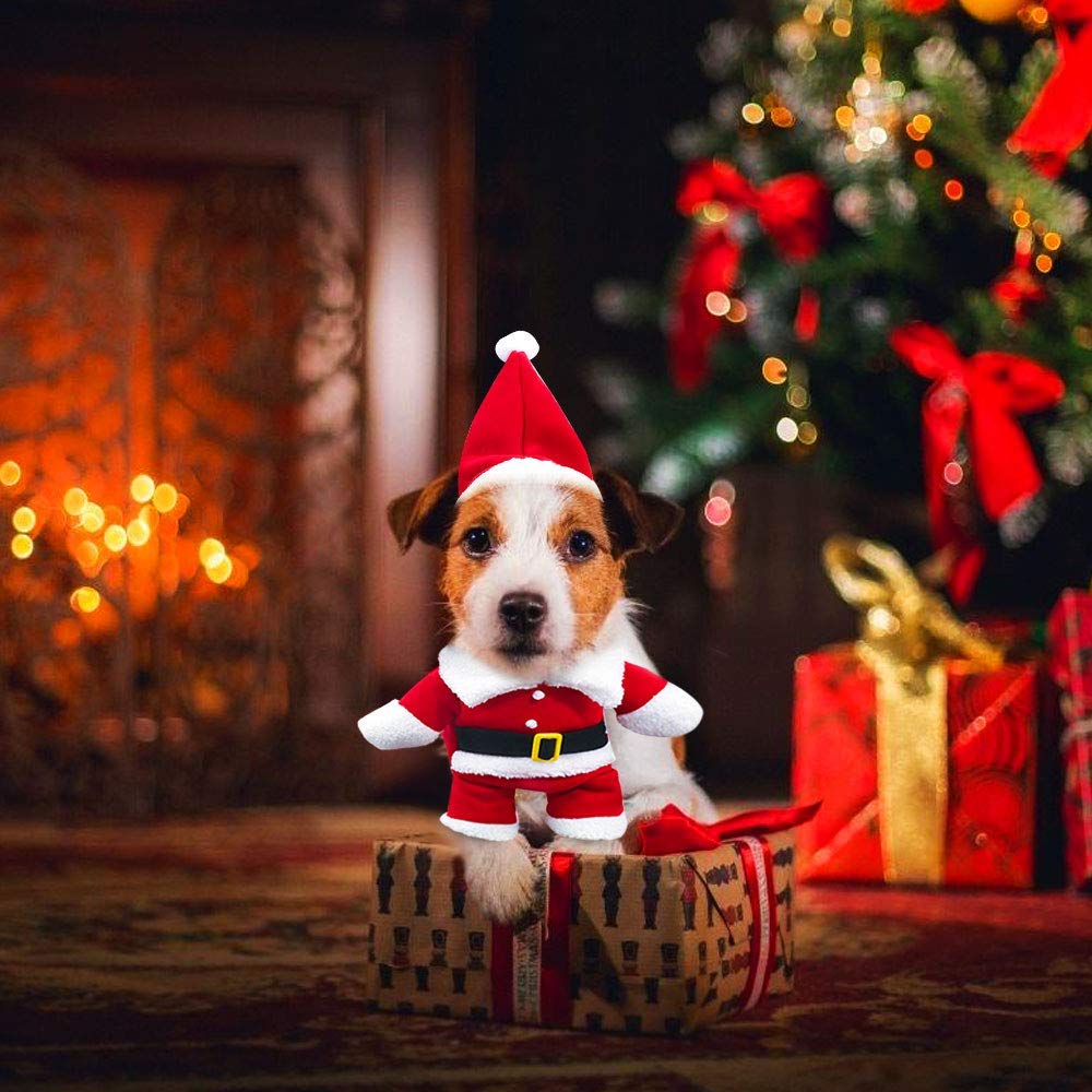 3 pezzi Vestiti per Cani Natal, Costume per Gatto con Mantello per 3 pezzi Vestiti per Cani Natal, Costume per Gatto con Mantello per