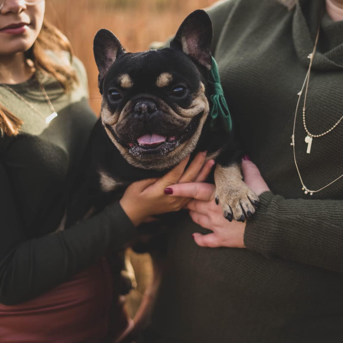 ARING PET Obroże dla psów z muszką, aksamitna obroża dla psa, regulowana ciemnozielona obroża dla psa