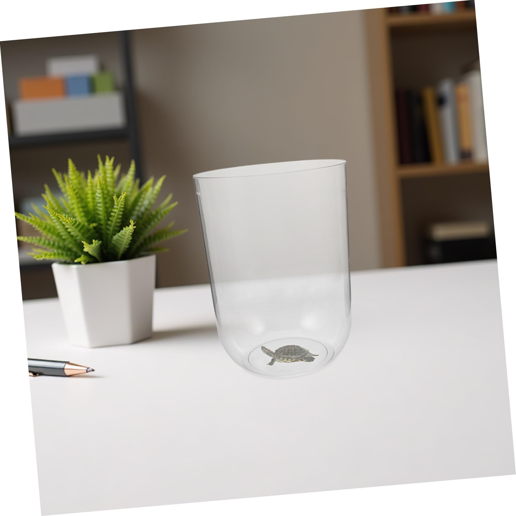 DOITOOL Aquarium Écologique Cylindrique pour Tortues Petite Taille 8l en Plastique Transparent Terrarium de Bureau Décoratif pour Maison et Garçon et Filles