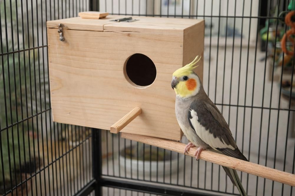 Wooden Bird Nesting Box for Cockatiels and Lovebirds, with Round Entrance Hole, Perch, and Top Opening Lid-image-45
