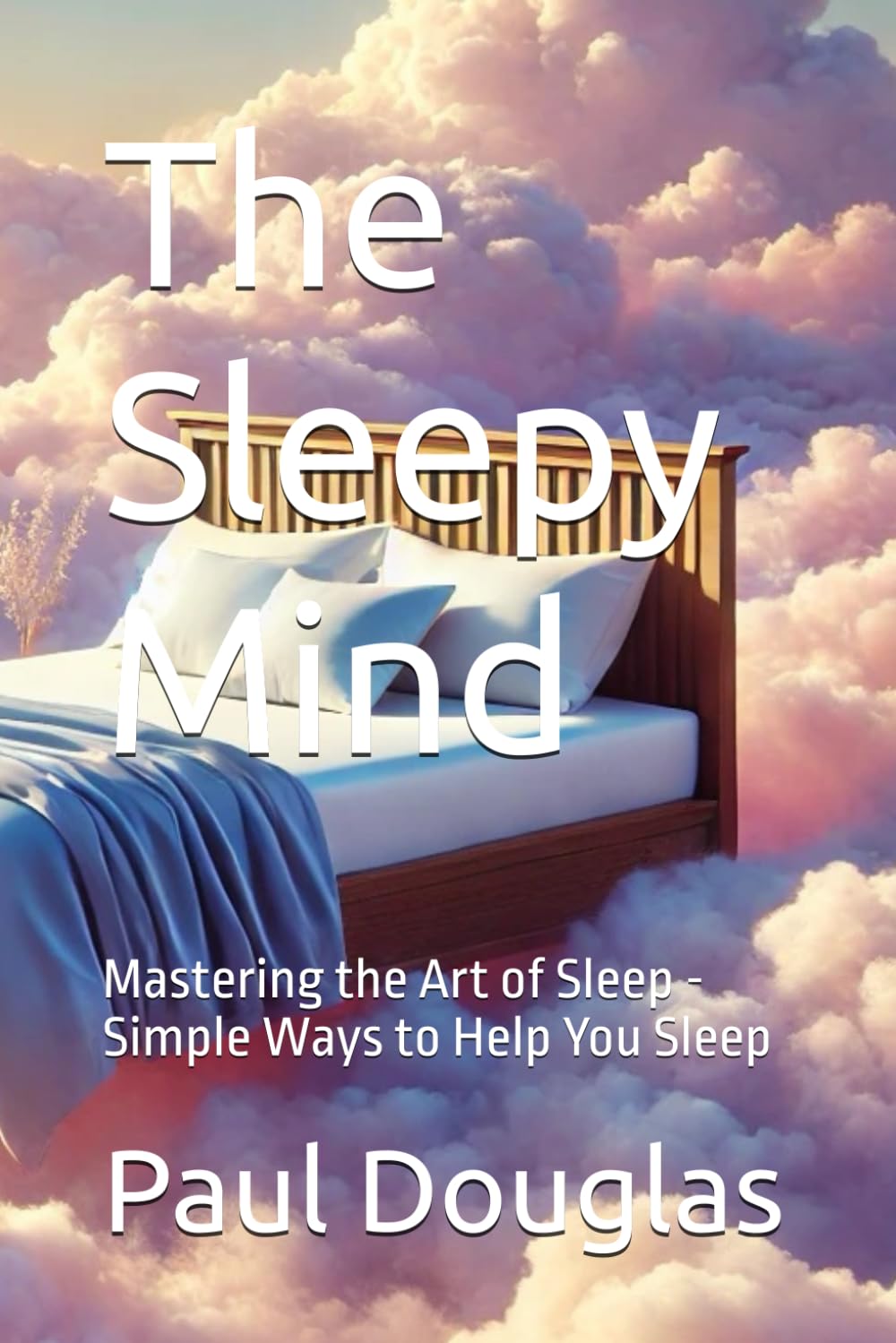 The Sleepy Mind: Mastering the Art of Sleep - Simple Ways to Help You Sleep