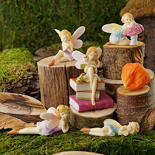 Top Collection Estatueta de fada de flor dormindo de jardim e terrário em miniatura