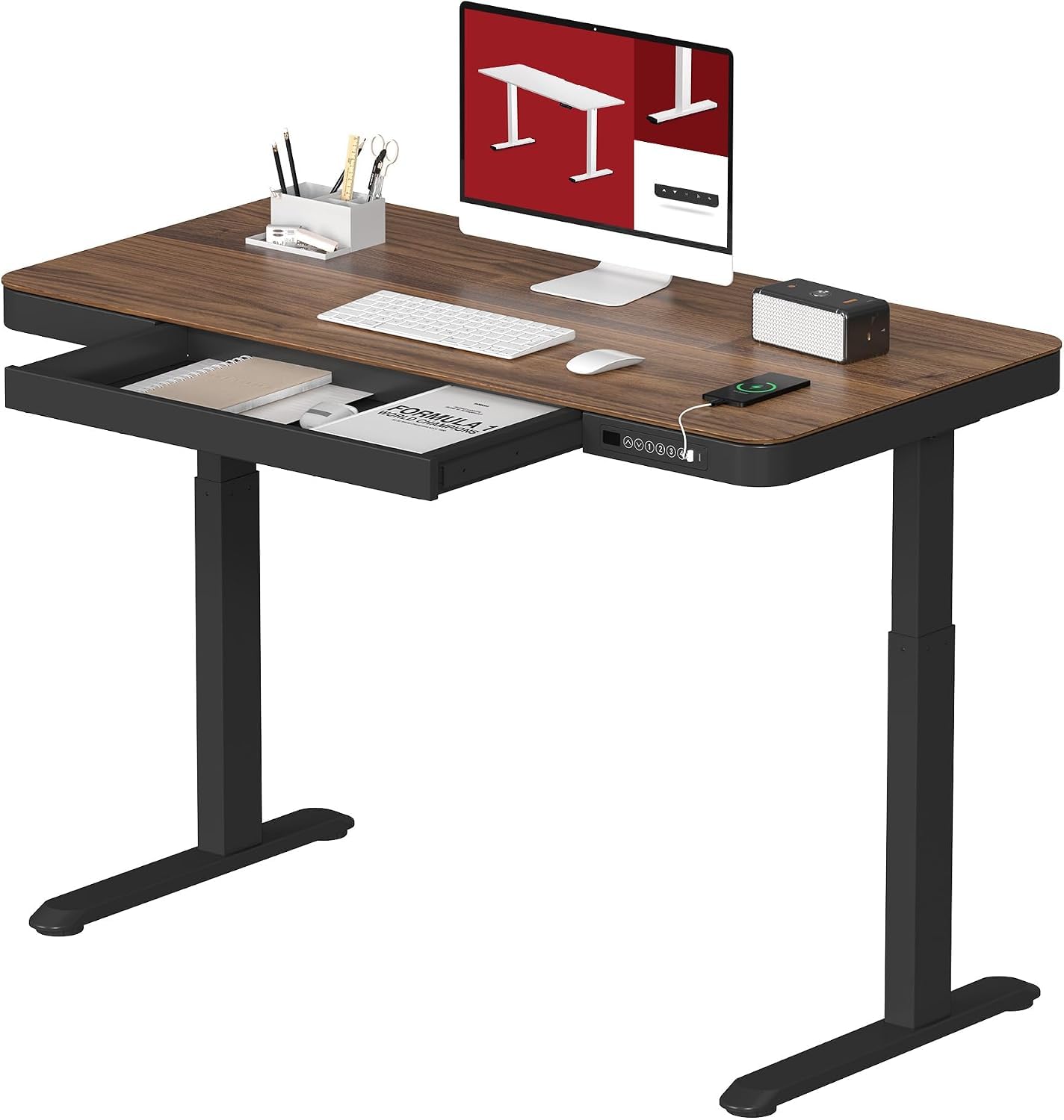 SANODESK 48 Electric Standing Desk with Drawer and USB
