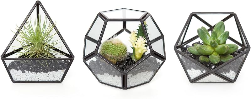 Mkono 3 Pack Geometric Glass Terrarium, 4" Black Air Plant Holder Tabletop | Modern Centerpiece Decor, 3 Shapes Metal Frame, Fits Succulent Moss Fairy Garden Shelf Coffee Table, Plants Not Included