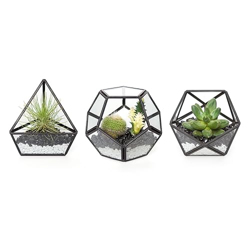Mkono 4 Inches Mini Glass Geometric Terrarium Container Set of