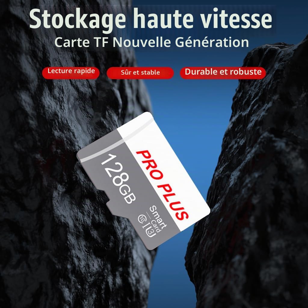 Lot de 2 Carte Mémoire 128 Go avec Adaptateur, Carte Mémoire TF Haute Vitesse, UHS-I, A1, C10, Carte TF pour Tablette/Téléphone/Appareil Photo/Autoradio/Enregistreur de Conduite (TF183 128 Go)