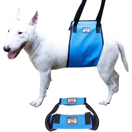 Amazon Sehoo犬用 歩行補助ハーネス 小型犬 老犬用 介 護用品 足腰弱い 中型犬 リード 胴輪 ペット用 後足用 障害犬 登山用 通気性 ブルー S Sehoo ハーネス 通販