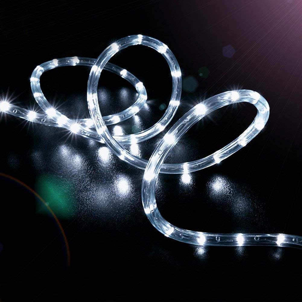 Solar Rope Lights Outdoor,WONAFST Waterproof 39ft 100LED Rope Copper Wire Tube Decorative String Light for Christmas Home Garden Patio Parties Decor (White)