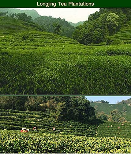 Xihu Dragonwell Longjing Green Tea (Yu Qian)