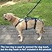 Coodeo Dog Lift Harness, Full Body Support & Recovery Sling, Pet Rehabilitation Lifts Vest for Old Dog with Arthritis Walk(Bule,L)