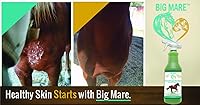 Vista 4 de Big Mare Cuidado de la piel y heridas de caballo multiusos Botella de 32 onzas Primeros auxilios: para picazón de la circunferencia, picaduras