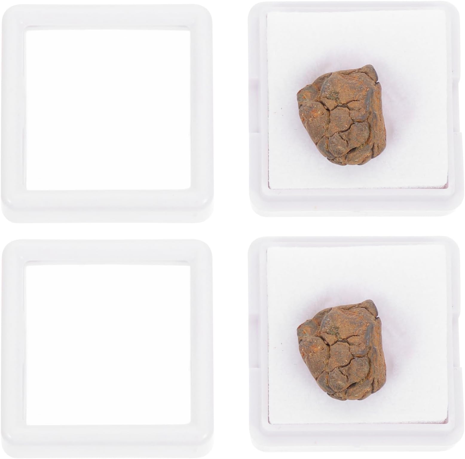 VILLCASE 2pcs Meteorite Specimen with Box, Authentic Real Meteorite Litho Siderite Sample, Irregular Meteorite Natural Specimen Science Teaching Material