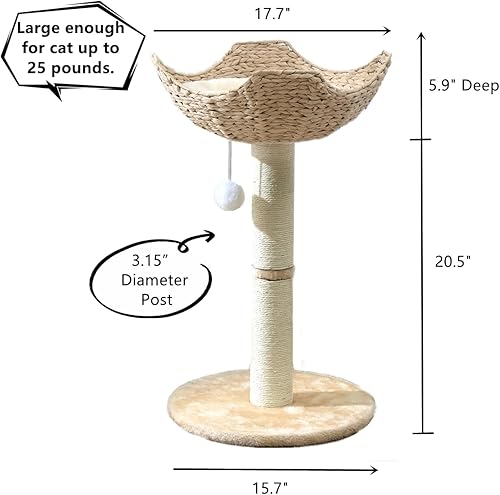 Vista 48 de SHENGOCASE Torre de árbol para gatos con cesta de mimbre de ratán, 3 cestas nido grandes tejidas a mano, percha de ventana para gatos grandes