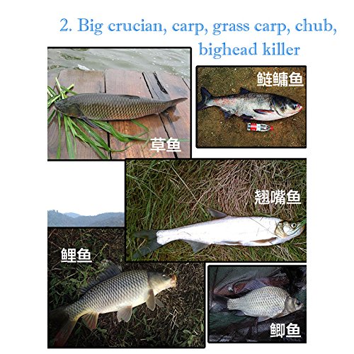 Isun Bottiglia particelle di esche da pesca