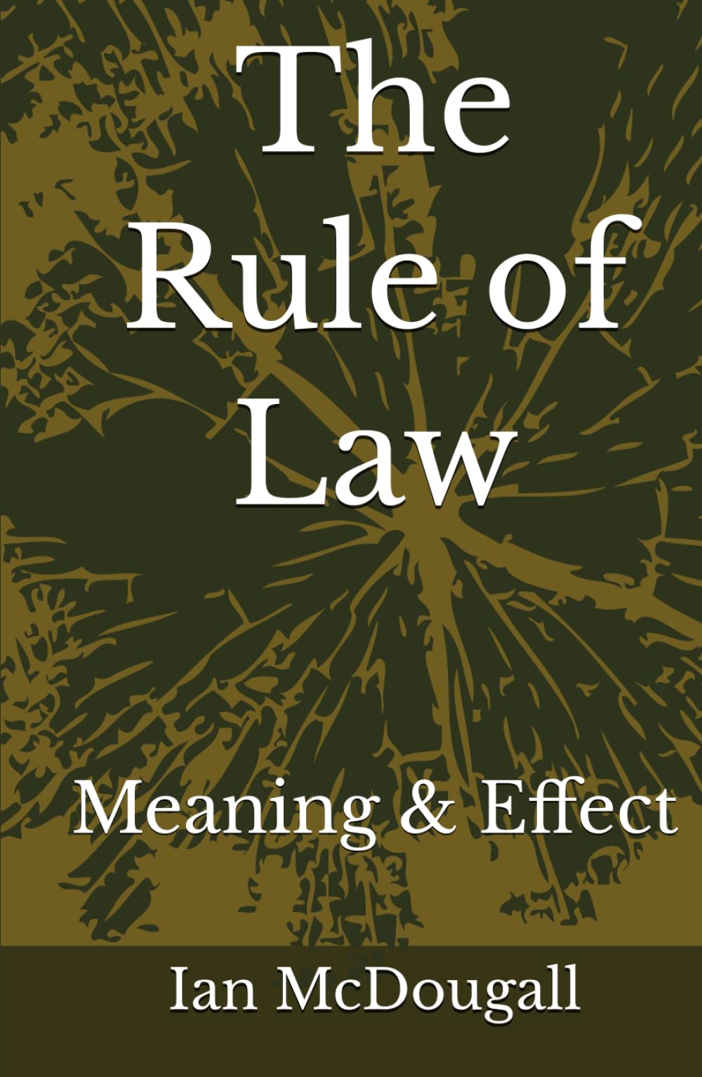 The Rule of Law: Meaning & Effect