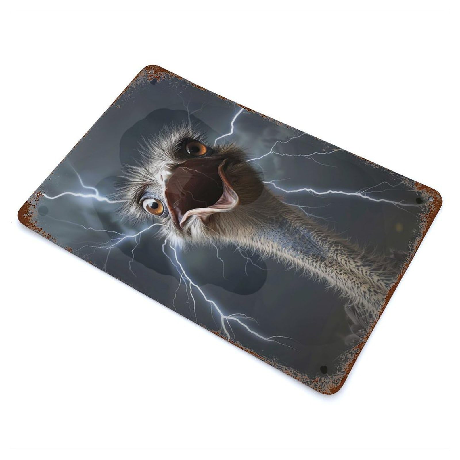 Ostrich Lightning Decorative Tin Sign 11.8"x7.9", Ideal for Garage, Bar And Workshop Decor