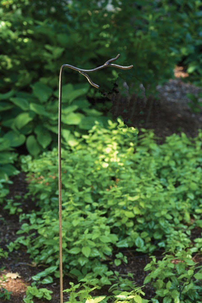 Ancient Graffiti Single Twig 36-Inch Stake