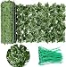 Produktbild Künstlicher Efeu Sichtschutz Bildschirm, Erweiterbare künstliche Hecken Zaun Faux Ivy Vine Leaf Dekoration für Indoor Outdoor Garten (50 * 300cm)