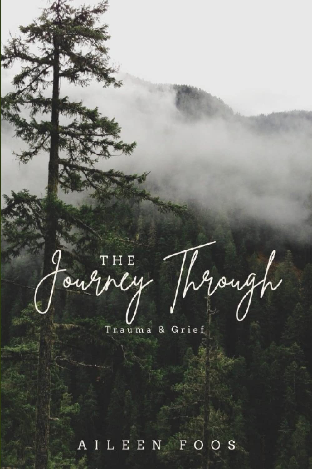 The Journey Through Trauma and Grief
