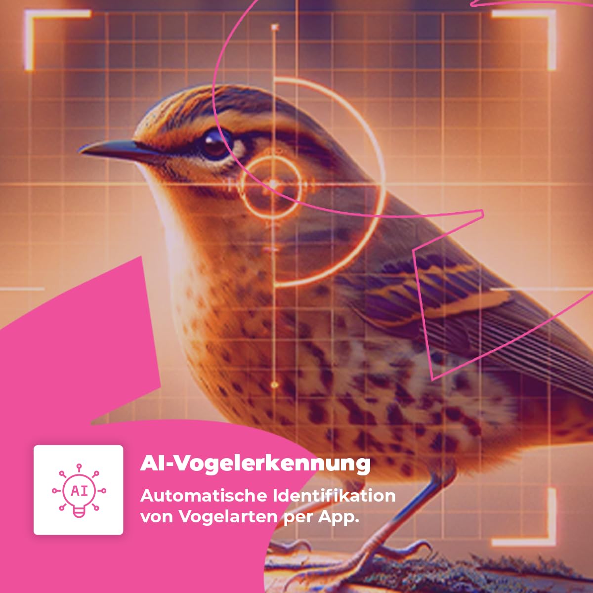 Spacetronik Vogelfutterhaus mit Kamera, Smart Vogelhaus mit Kamera