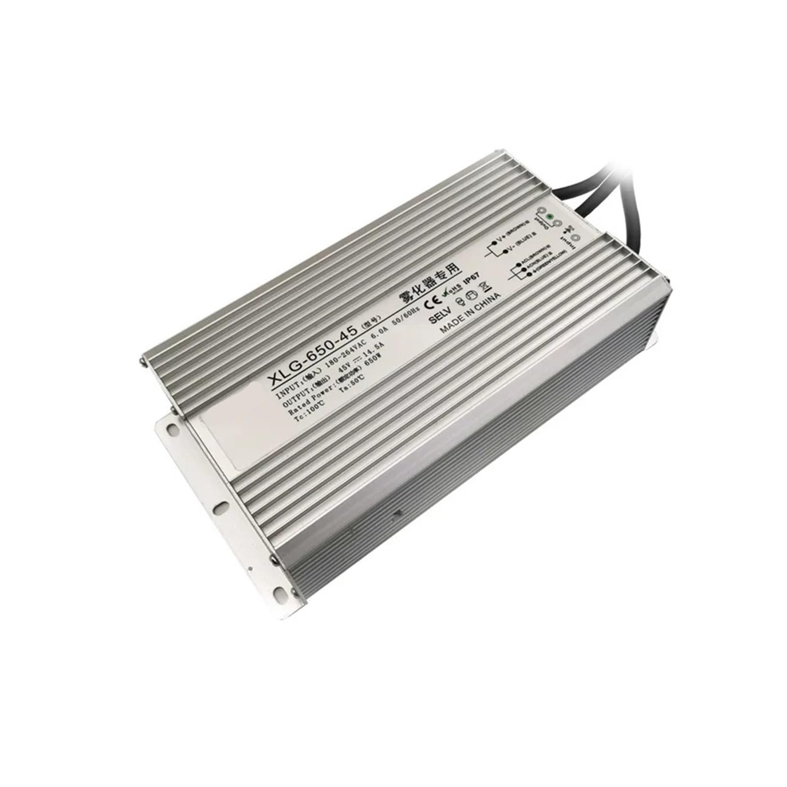 Bande LED illuminée par un adaptateur 650W étanche pour sublimer le jardin