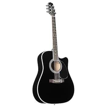 格安 Takamine 100シリーズ(？)BK ピアノブラック！ Amazon.com: Takamine Legacy JEF341SC Acoustic-electric