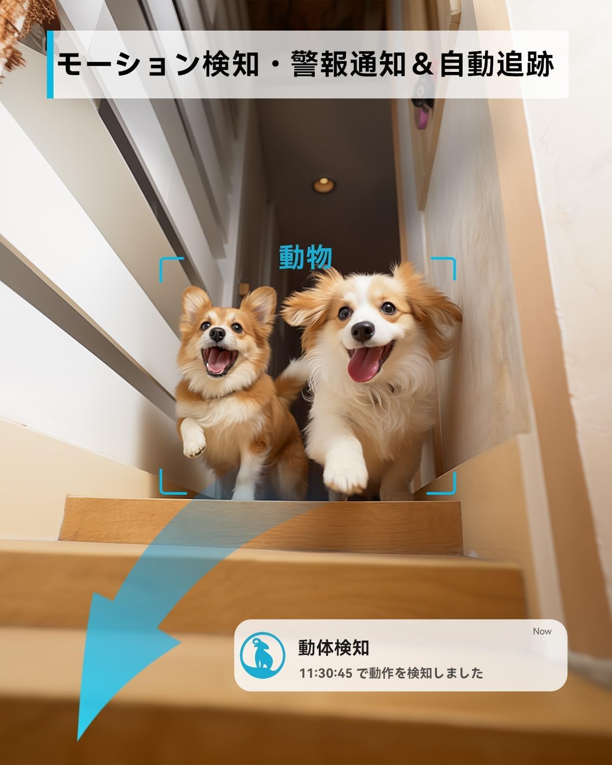 Motion Detection and Auto-Tracking