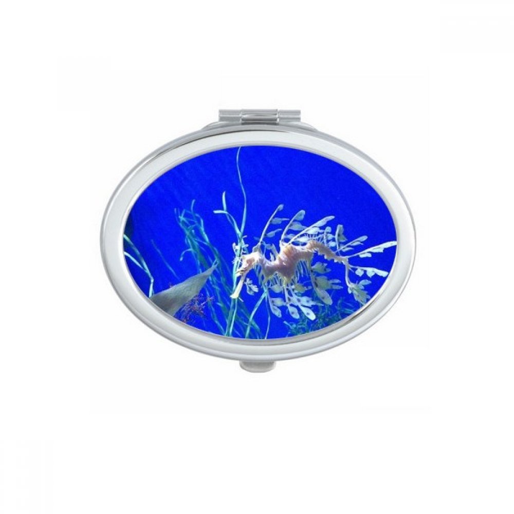 Miroir de poche hippocampe bleu cadeau multicolore mignon et petit miroir ovale pour femme