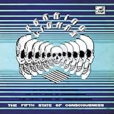 PEAKING LIGHTS - Fifth State Of Consciousness