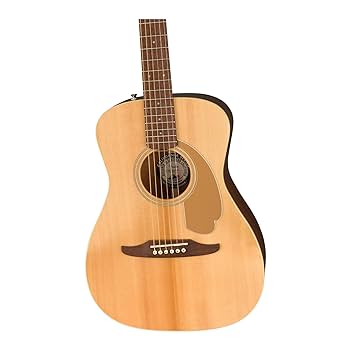Amazon.co.jp: Fender エレアコ Malibu Player, Walnut