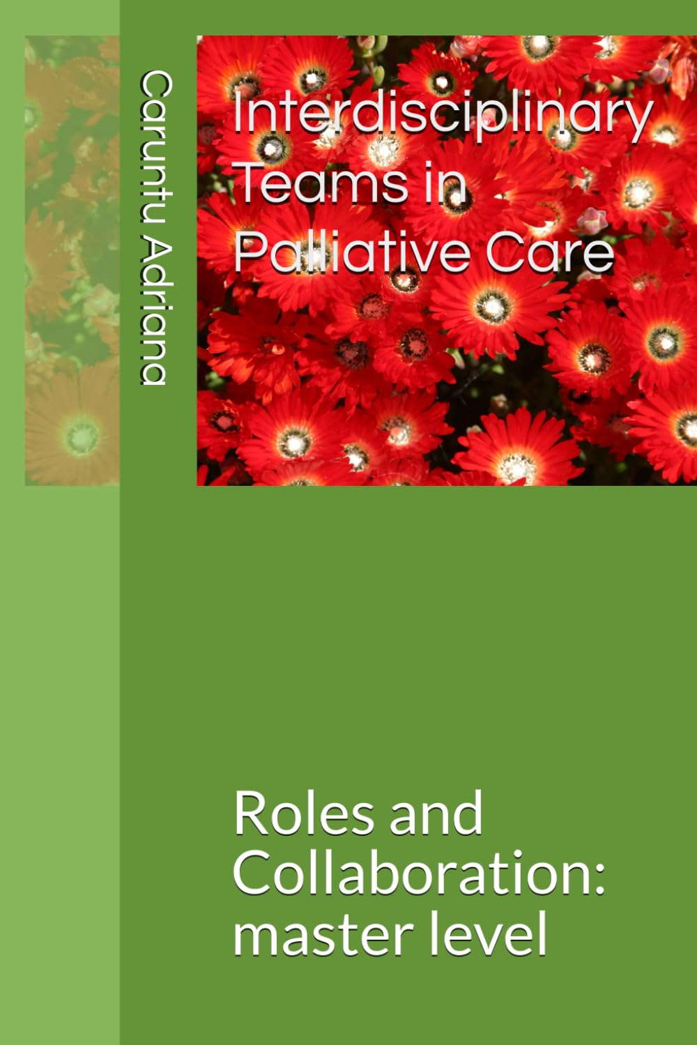 Interdisciplinary Teams in Palliative Care: Roles and Collaboration: master level