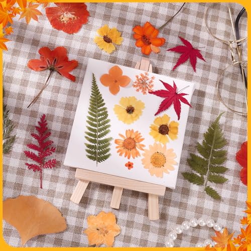 100 unidades flores secas prensadas para manualidades miniatura 2