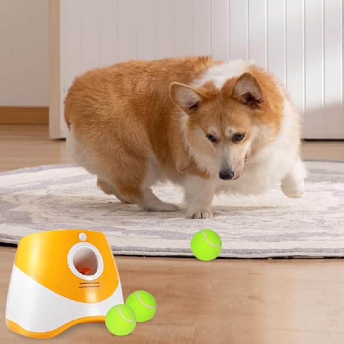 Automatischer Hundetenniswerfer Mini Haustier Verfolgungsspielzeug Wiederaufladbare Wurf-Pinballmaschine Interaktiver Spaß