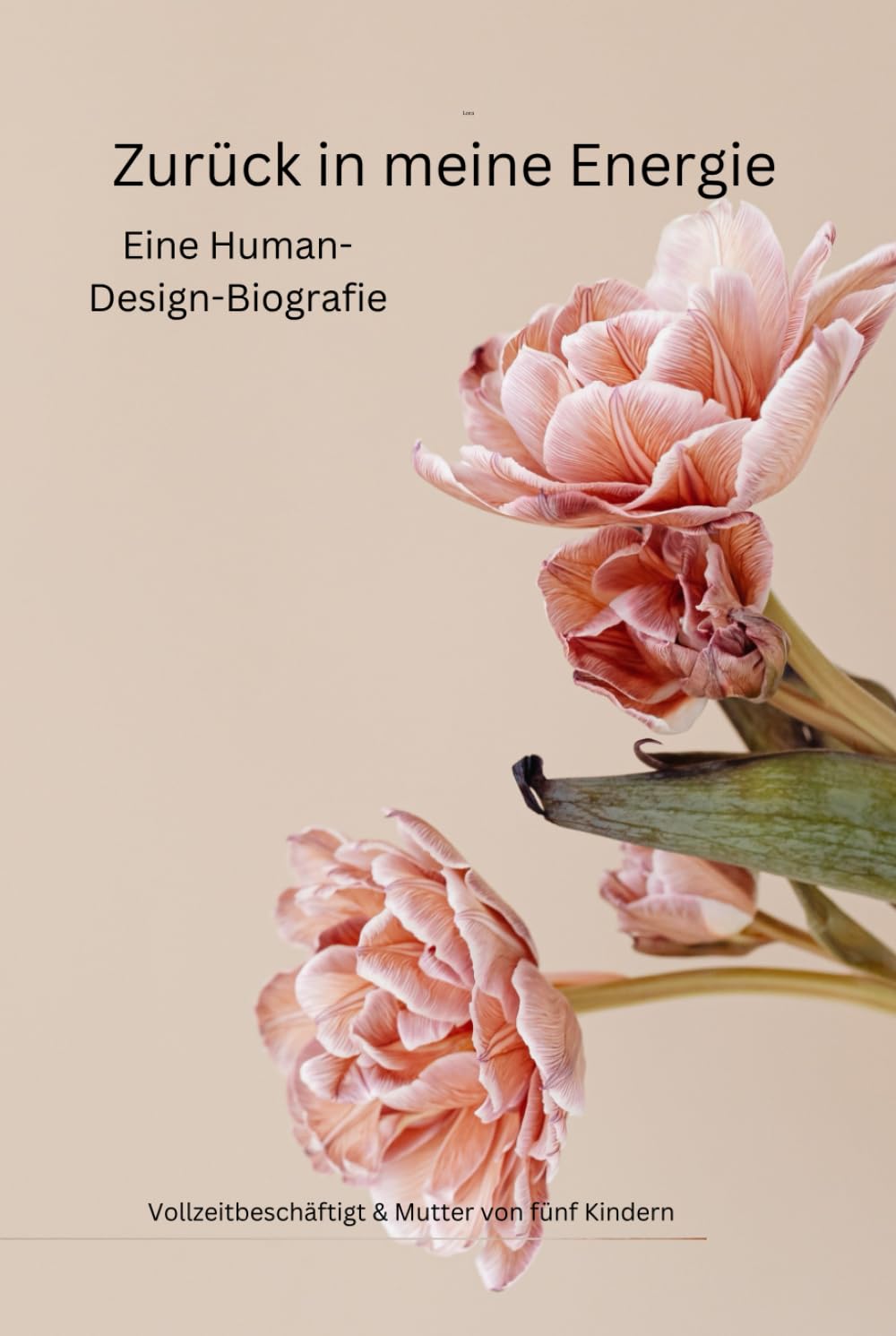Zurück in meine Energie: Eine Human-Design-Biografie. Wie ich aufhörte zu funktionieren und begann, mir zu vertrauen