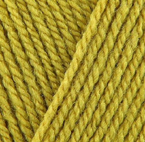 Stylecraft 5 X 100G Lime 1712 5 X 100G Special Dk Double Knit Wool/Yarn Pack Of Five (5 X 100G Lime 1712)