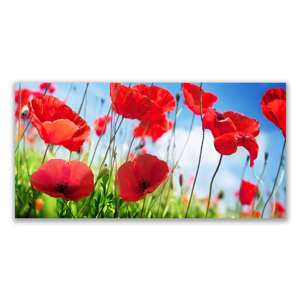 Impression sur verre véritable trempé decormat art mural 120x60