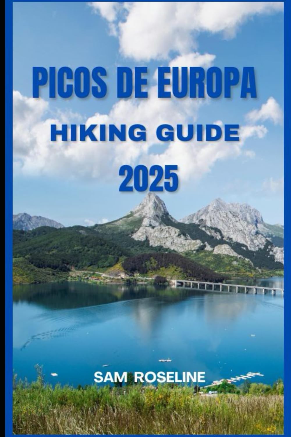 PICOS DE EUROPA HIKING GUIDE 2025 (Explorer’s Hiking Handbook 2025)