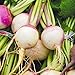 Organic Turnip Seeds, APPR. 1,100, Purple Top White Globe Turnip, Heirloom Vegetable Seeds, Certified Organic, Non GMO, Non Hybrid, USA