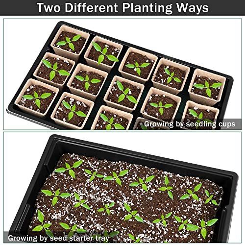 Hahood 6 Pack Seed Starter Tray Kit With 120 Square Peat Pots For Seedlings, Including Plants Labels, Planting Tools, Growing Trays Plastic Germination Tray Paper Starter Pods For Plant Seeds, Black #TOP3