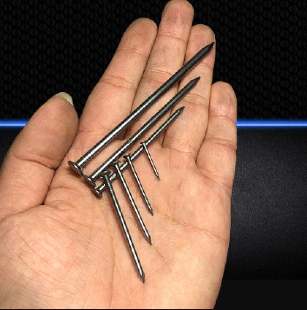 Clavos de Cemento,Clavos de Pared Tachuelas Clavos Clavos de Hierro pequeños for carpintería, Clavos, Clavos alargados, 2, 2,5, 6, 7, 8, 9, 10, 12 Pulgadas(Steel Nails*0.8 Inch*1400)