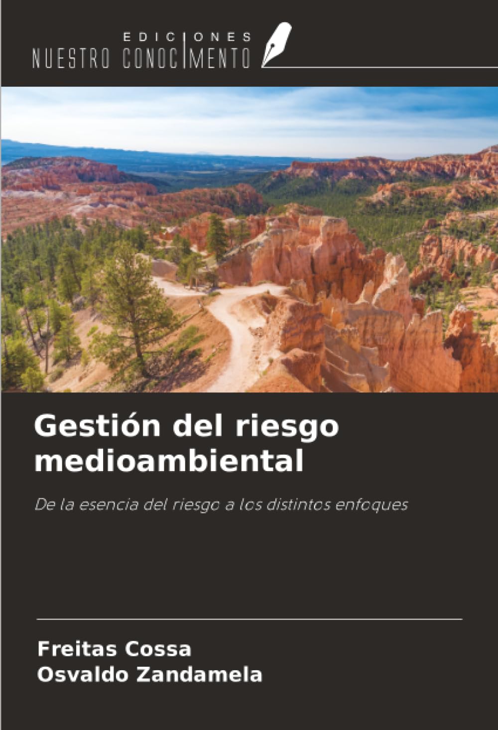 Gestión del riesgo medioambiental: De la esencia del riesgo a los distintos enfoques