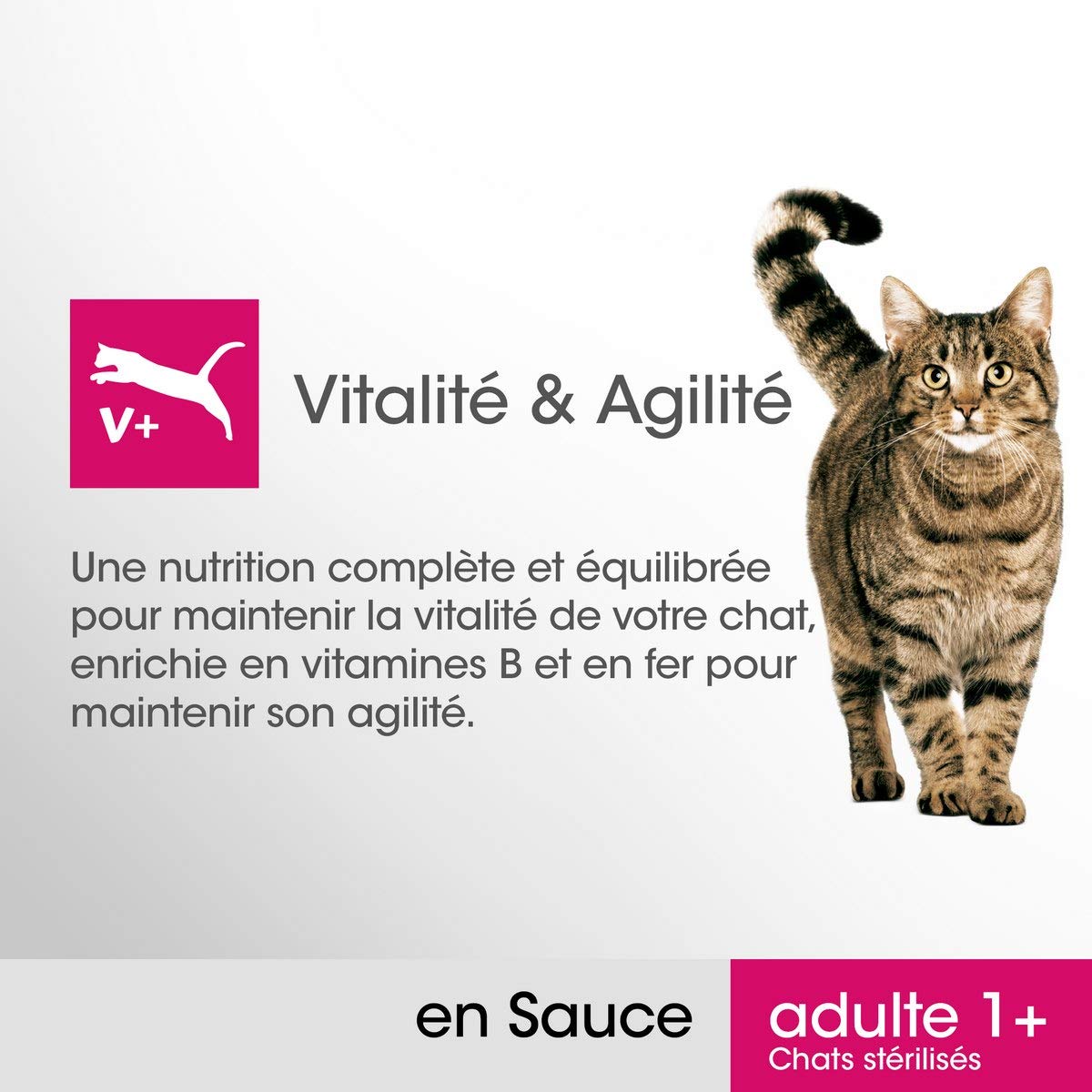 PERFECT FIT Pack de 13 Stérilisé Sachets Fraîcheur en Sauce aux Poissons pour Chat Adulte 4 x 85 g