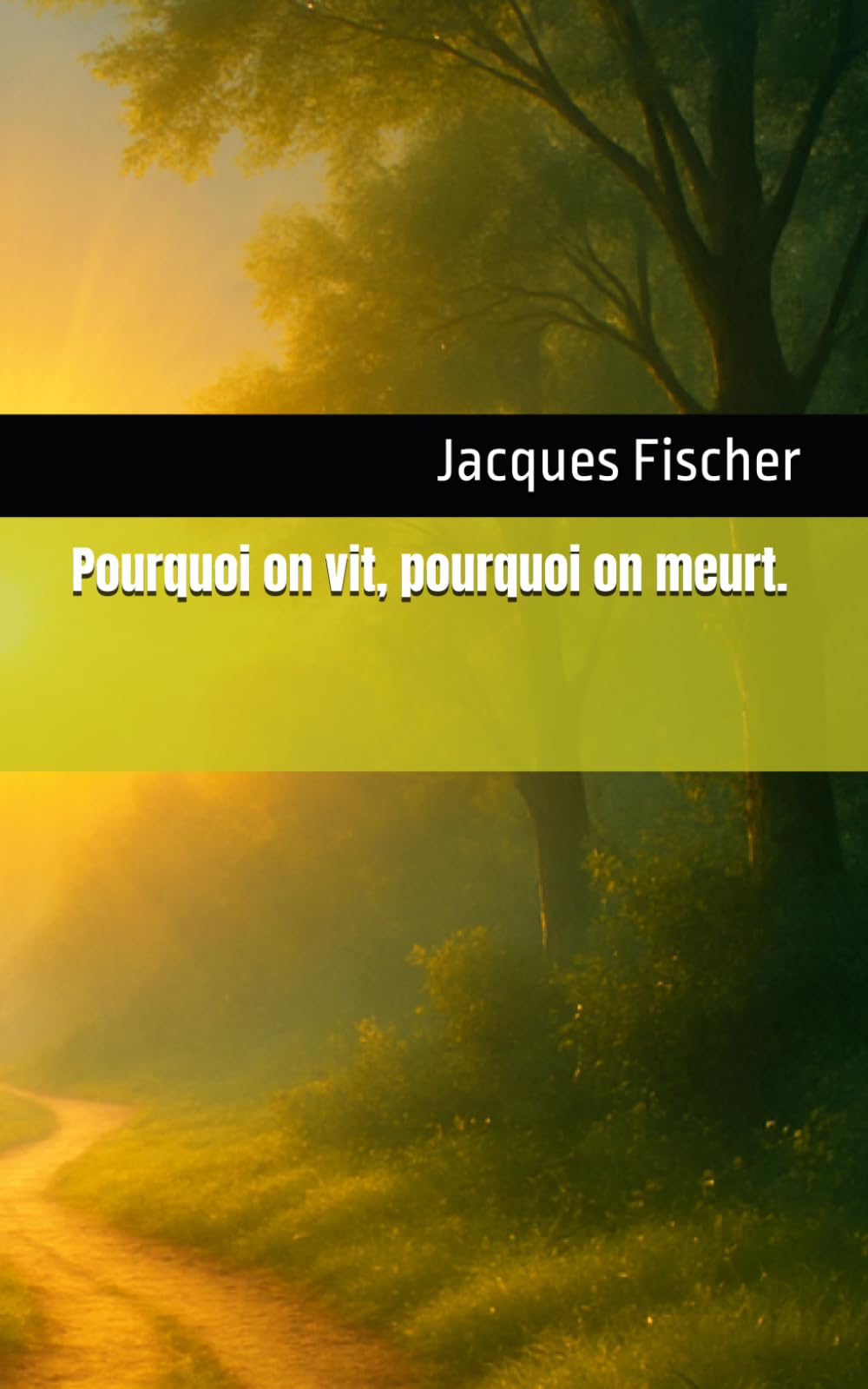 Pourquoi on vit, pourquoi on meurt. (Chemin de lumière)
