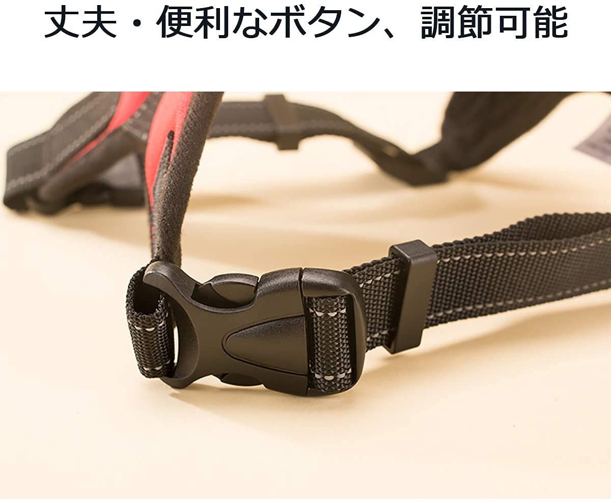 Amazon | 犬用ハーネス＆リーダーセット 犬胴輪 可愛い メッシュ