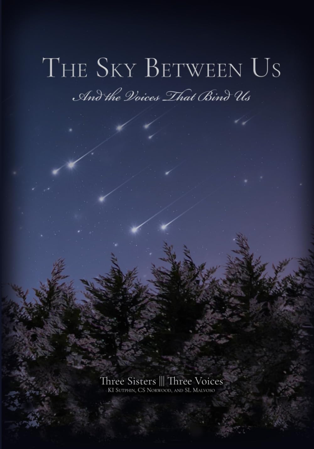 The Sky Between Us: And the Voices That Bind Us