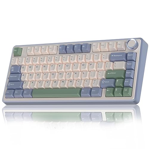 AULA F75 75% Wireless Mechanical Keyboard, Hot Swappable Creamy Keyboard, Pre-lubed Reaper Switches RGB Backlit Gaming Keyboards, 2.4GHz/Type-C/BT5.0(White & Green)