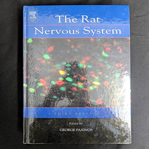 The Rat Nervous System view 2