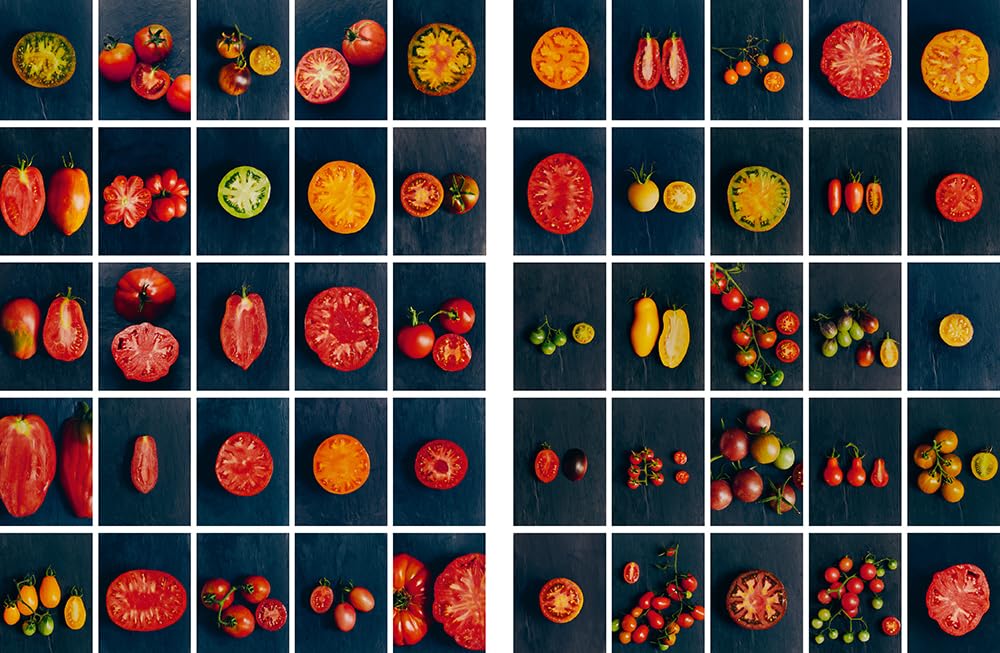 Le Conservatoire de la Tomate - Savoir-faire de La Bourdaisière · 50 variétés à cultiver