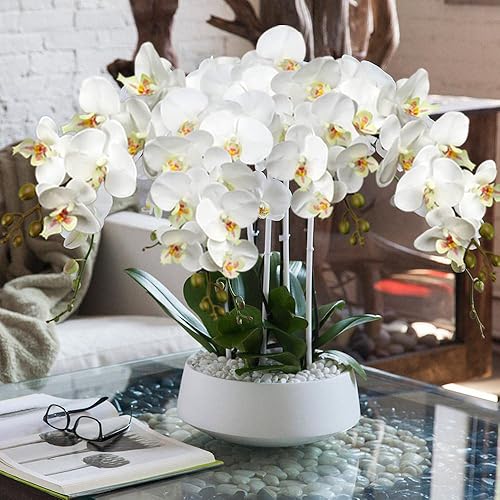 Vista 30 de DILATATA Orquídea Phalaenopsis floreciente de 31.5 pulgadas de alto, orquídea artificial de tacto real con 9 flores grandes, orquídeas falsas